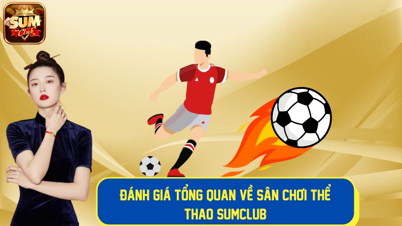 Tổng quan về sân chơi thể thao sôi động