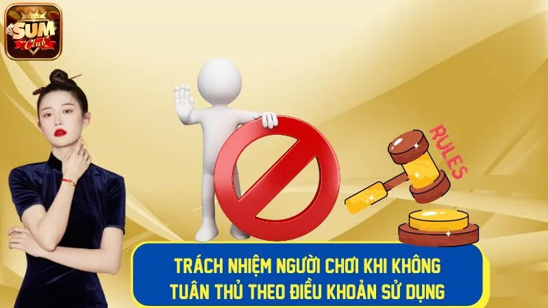 Trách nhiệm người dùng khi không tuân thủ các điều khoản