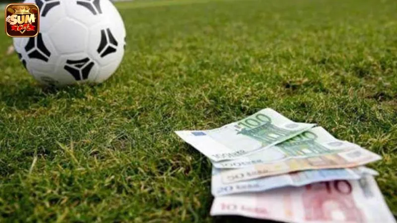 Cách chọn lựa trang cá độ bóng đá uy tín cho người chơi